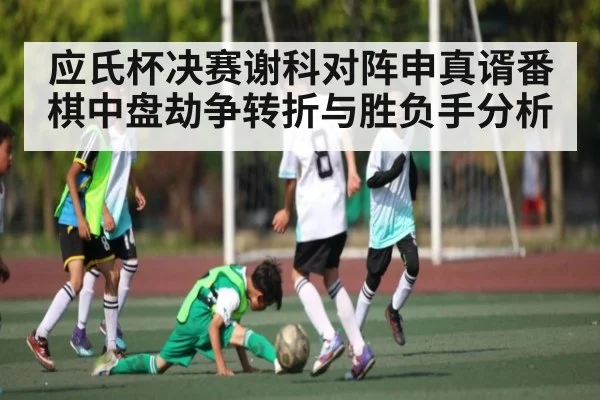 应氏杯决赛谢科对阵申真谞番棋中盘劫争转折与胜负手分析